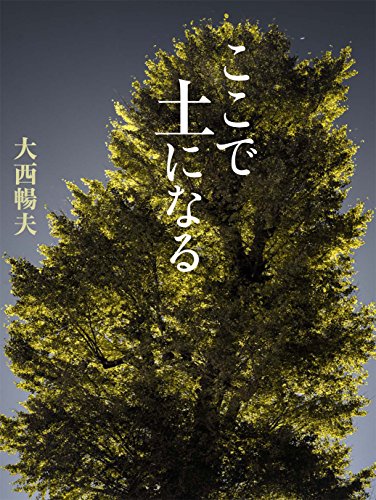 一気にわかる！池上彰の世界情勢２０１８ 国際紛争、一触即発編