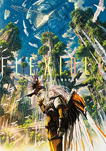 FLEXIBLE よー清水作品集