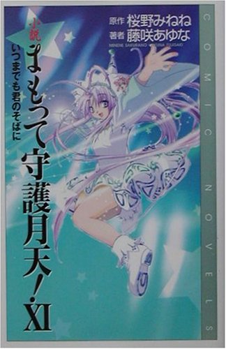 小説まもって守護月天!(11)