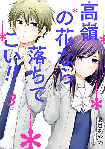 高嶺の花なら落ちてこい!!(3)