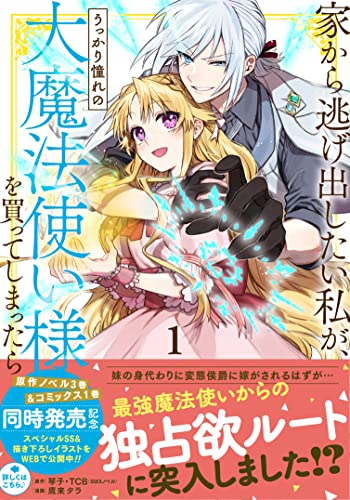 家から逃げ出したい私が、うっかり憧れの大魔法使い様を買ってしまったらの表紙