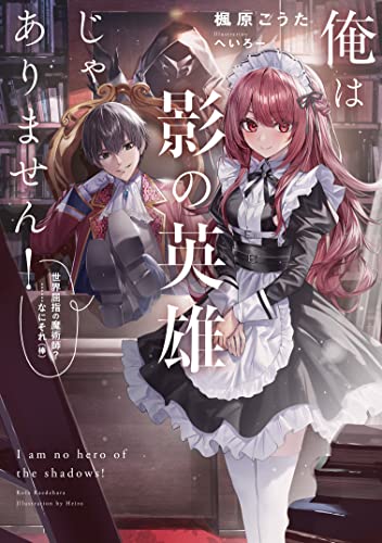 俺は影の英雄じゃありません! 世界屈指の魔術師?……なにそれ(棒)