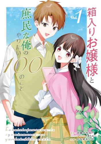 箱入りお嬢様と庶民な俺のやりたい100のことの表紙