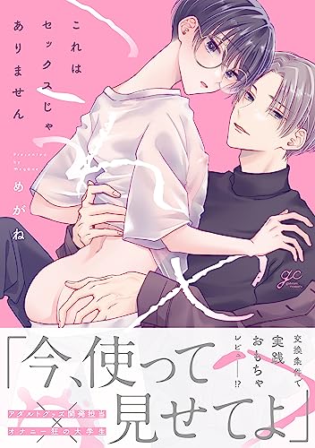 これはセックスじゃありません