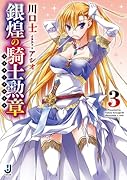 銀煌の騎士勲章(3)