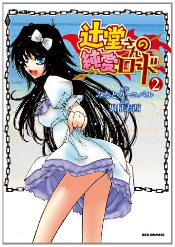 辻堂さんの純愛ロード 2