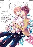 星かけらのメルクマール