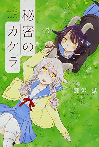 秘密のカケラの表紙
