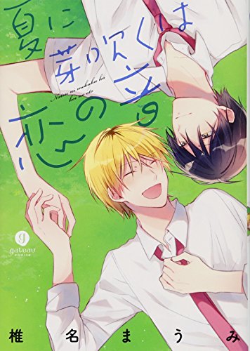 夏に芽吹くは恋の音