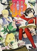 炎の神子様は大精霊ではございません