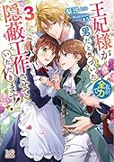 王妃様が男だと気づいた私が、全力で隠蔽工作させていただきます!3