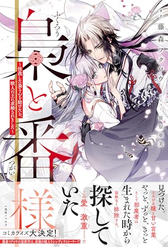 梟と番様〜怪我した梟さんを助けたら、獣人の王に求婚されました〜