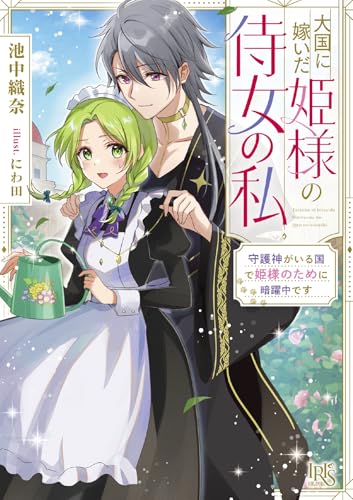 大国に嫁いだ姫様の侍女の私 なぜか守護神様からお気に入り認定されたようです?(仮)