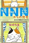 NNNからの使者