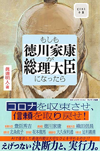 ビジネス小説 もしも徳川家康が総理大臣になったら