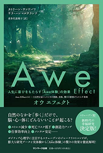 Awe Effect