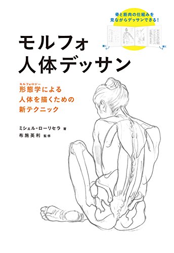 モルフォ人体デッサン 形態学による人体を描くための新テクニック