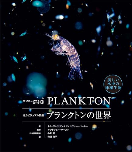 一気にわかる！池上彰の世界情勢２０１８ 国際紛争、一触即発編