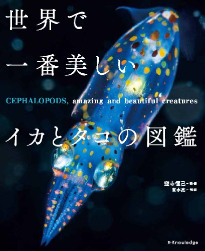 一気にわかる！池上彰の世界情勢２０１８ 国際紛争、一触即発編