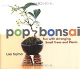 Pop Bonsai Fun With Arranging Small Trees And Plants