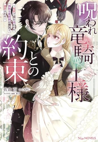 呪われ竜騎士様との約束〜冤罪で国を追われた孤独な魔術師は隣国で溺愛される〜