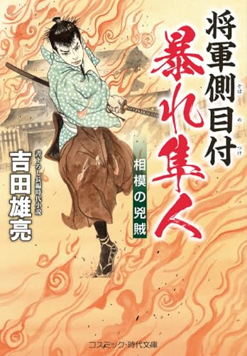 将軍側目付 暴れ隼人 相模の兇賊(第4巻)
