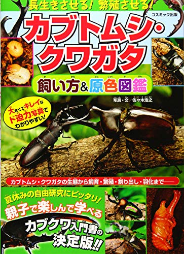 近刊検索デルタ 長生きさせる 繁殖させる カブトムシ クワガタ飼い方 原色図鑑
