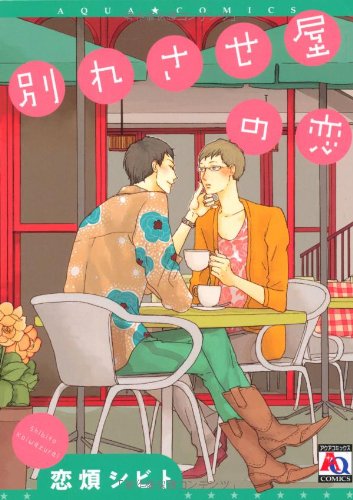 別れさせ屋の恋