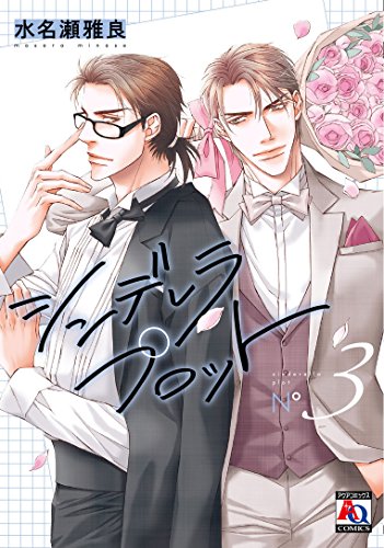 シンデレラ プロット 3(完)