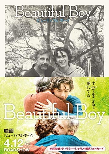 ビューティフル・ボーイ