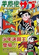 平原児サブ〔完全版〕(下)(完)