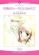 灼熱のシークにとらわれて