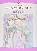 シークとのめぐり逢い