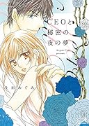 CEOと秘密の夜の夢