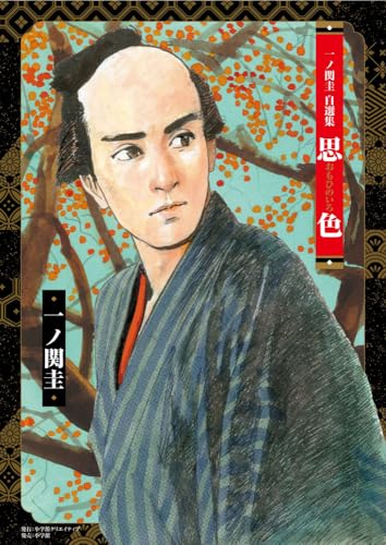 一ノ関圭自選集 思色