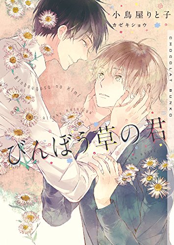 びんぼう草の君