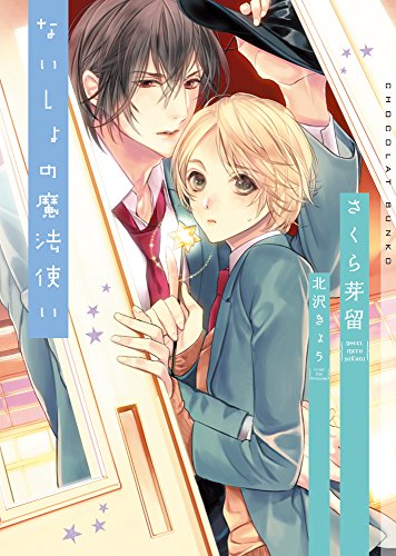 ないしょの魔法使い