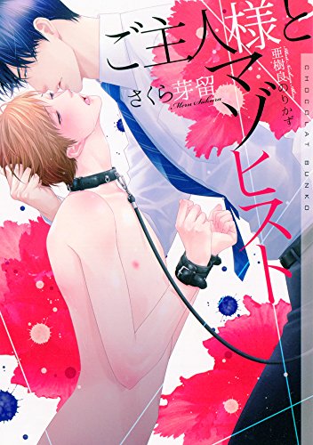 ご主人様とマゾヒスト