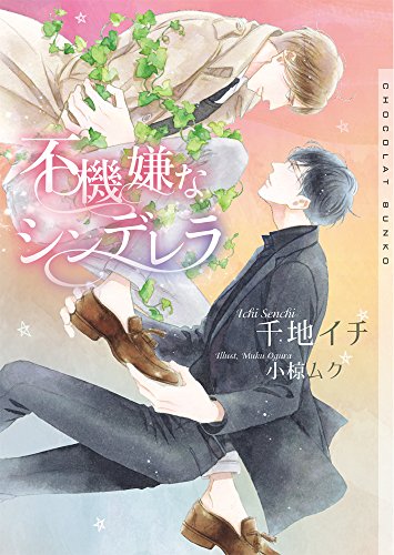 不機嫌なシンデレラ