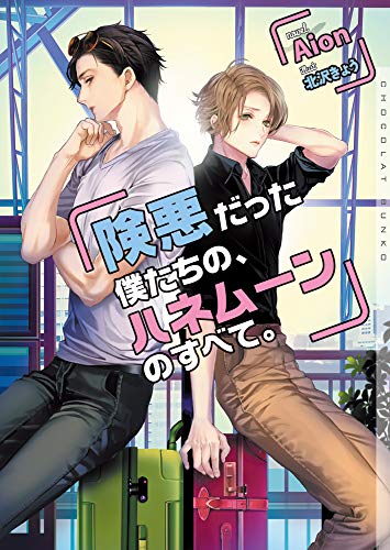 険悪だった僕たちの、ハネムーンのすべて。