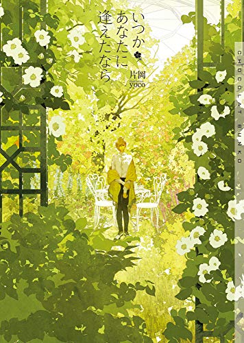 いつかあなたに逢えたなら