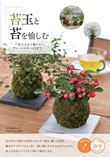 一気にわかる！池上彰の世界情勢２０１８ 国際紛争、一触即発編