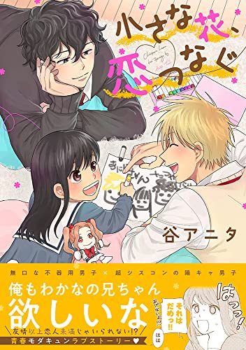 小さな花、恋つなぐの表紙