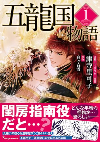 五龍国物語の表紙