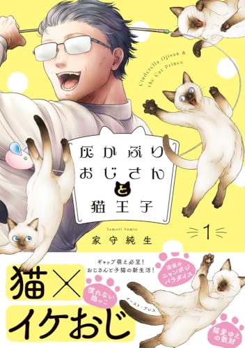 灰かぶりおじさんと猫王子の表紙
