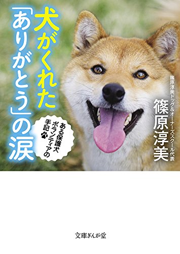 犬がくれた「ありがとう」の涙 ある保護犬ボランティアの手記