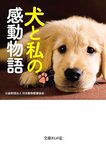 人生を変えた忘れられない犬の話