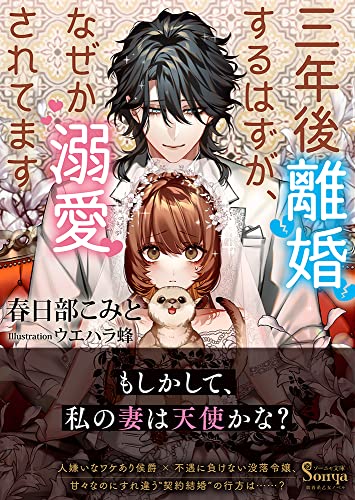三年後離婚するはずが、なぜか溺愛されてます
