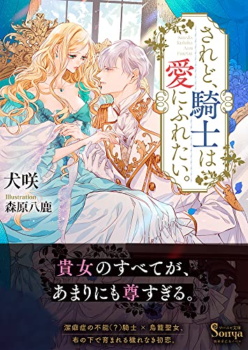 されど、騎士は愛にふれたい。