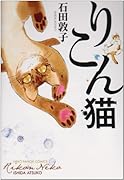りこん猫